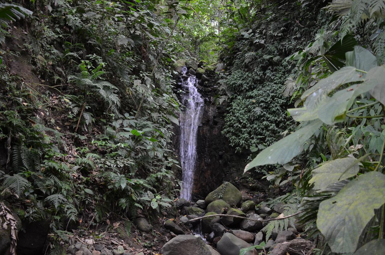 Lumbres Arenal Villa La Fortuna Exterior photo